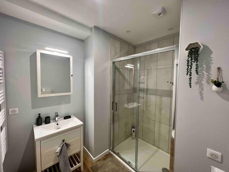 Appartement Climatise / Centre-Ville / 4 Personnes Besancon Luaran gambar